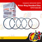 1DY-E1603-00 | Piston Ring Standard Size | Genuine Yamaha parts | Sight Vega Force Fi