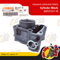 2DP-E1311-10 | Cylinder Block | Genuine Yamaha parts | NMax v1 Aerox v1