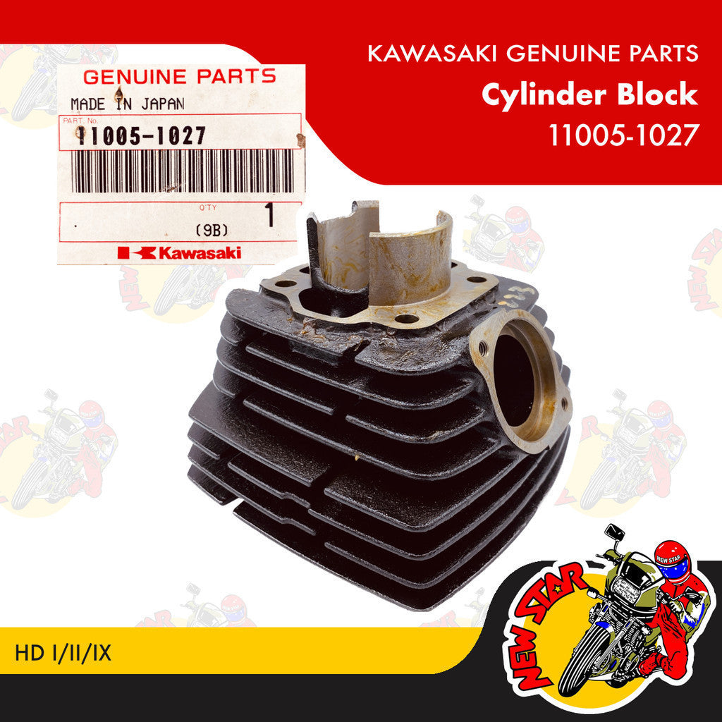 11005-1027 | Cylinder Block | Genuine Kawasaki parts | HD I/II/IX