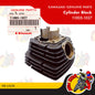 11005-1027 | Cylinder Block | Genuine Kawasaki parts | HD I/II/IX