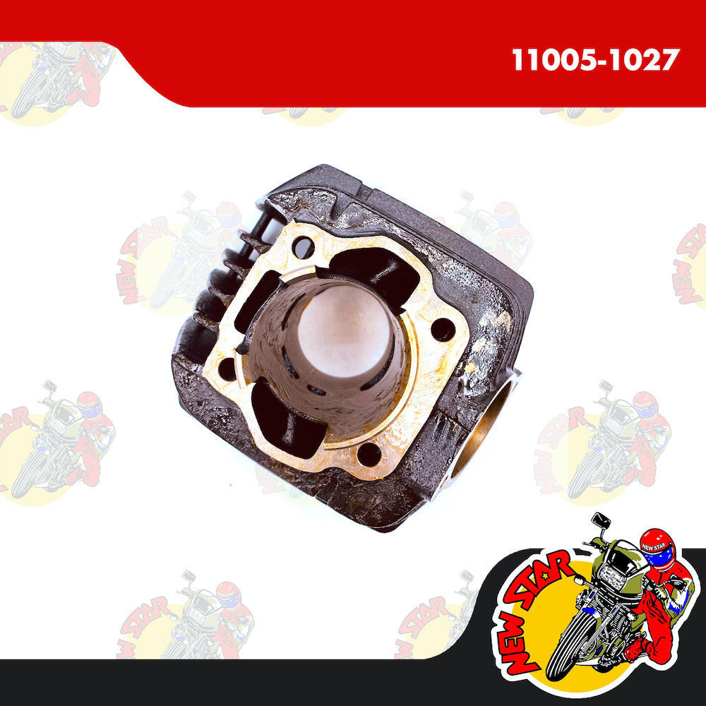 11005-1027 | Cylinder Block | Genuine Kawasaki parts | HD I/II/IX