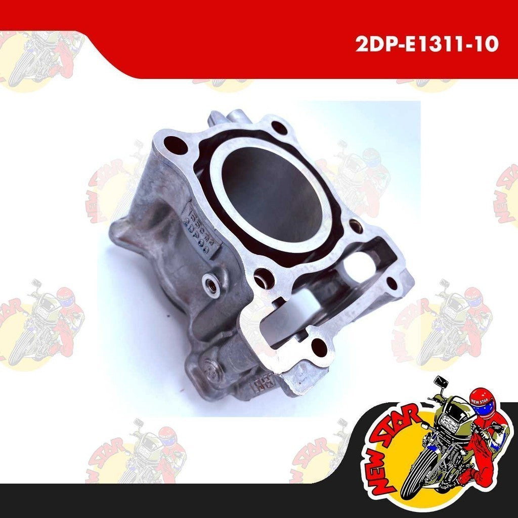 2DP-E1311-10 | Cylinder Block | Genuine Yamaha parts | NMax v1 Aerox v1