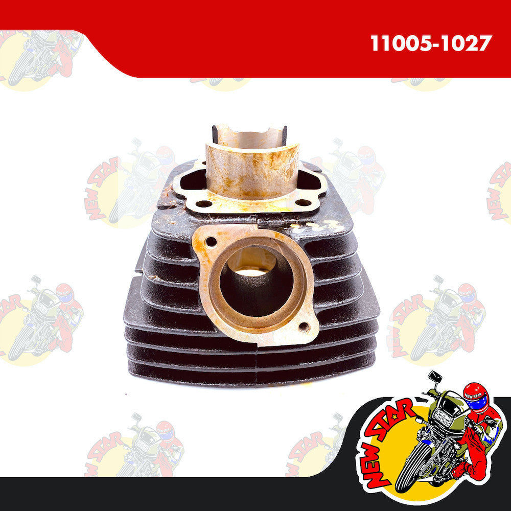 11005-1027 | Cylinder Block | Genuine Kawasaki parts | HD I/II/IX