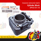 2PH-E1311-10 | Cylinder Block | Genuine Yamaha parts | Mio i 125 Mio Soul i 125