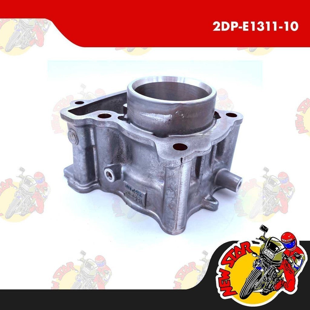 2DP-E1311-10 | Cylinder Block | Genuine Yamaha parts | NMax v1 Aerox v1