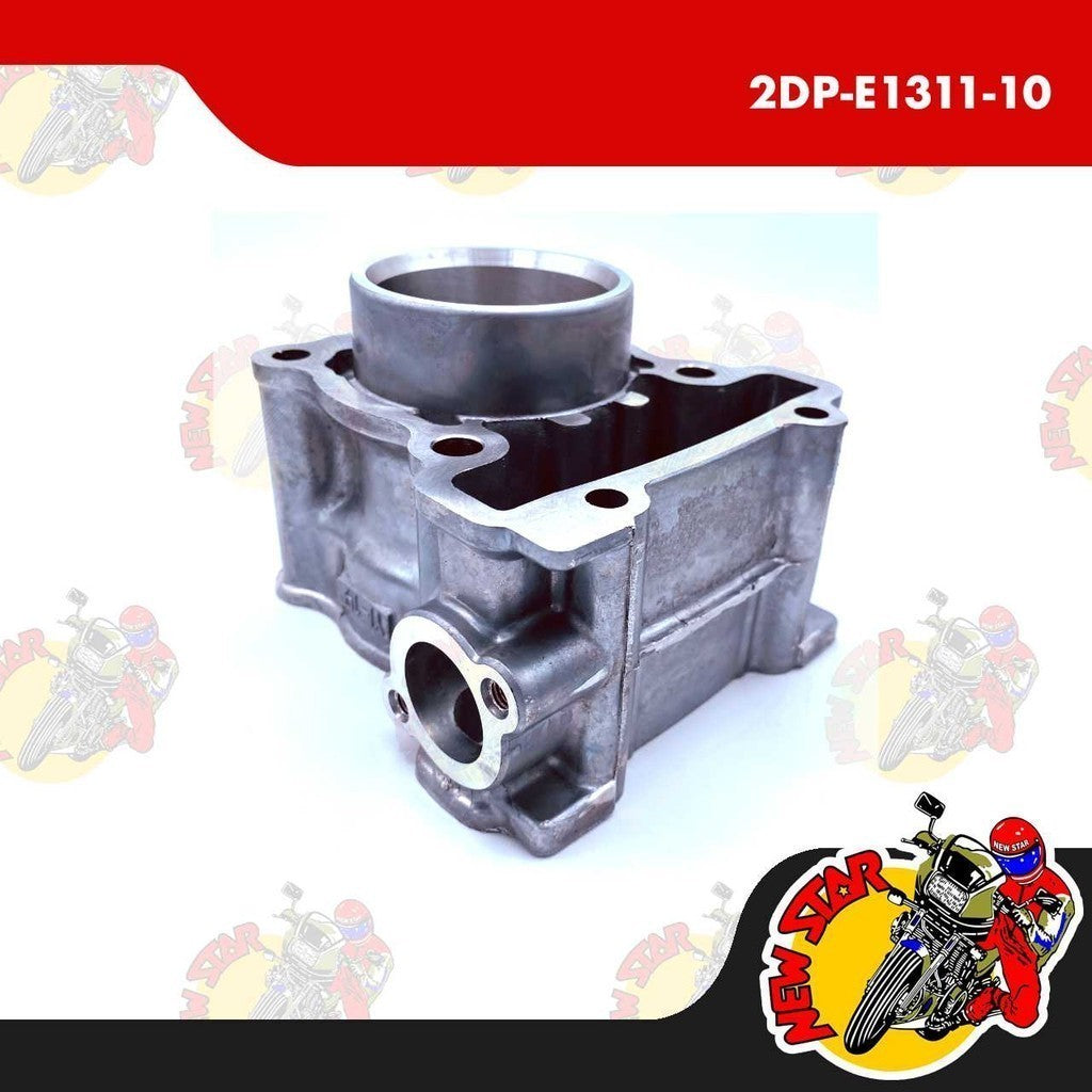 2DP-E1311-10 | Cylinder Block | Genuine Yamaha parts | NMax v1 Aerox v1