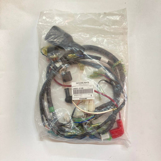 26031-2100 | Harness Wire | Genuine Kawasaki parts | Barako II (Electric) (2017-2021)