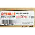 BRW-H4300-01 | Headlight Assy | Genuine Yamaha parts | Aerox v2