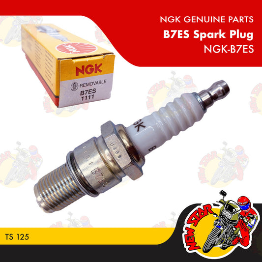 NGK-B7ES | B7ES Spark Plug | Genuine Ngk parts | TS 125